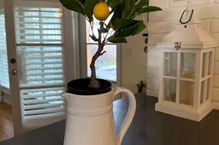 3538 Baxter Ave, Napa, CA 94558 - Photo 11