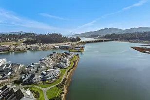 6029 Shelter Bay Ave, Mill Valley, CA 94941 - Photo 11