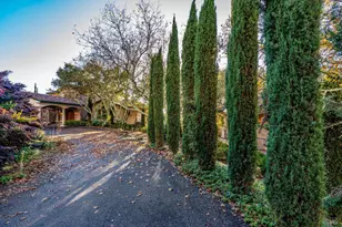 405 London Way, Sonoma, CA 95476 - Photo 45