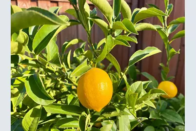 [Address not provided], Fairfield, CA 94534 - Photo 27