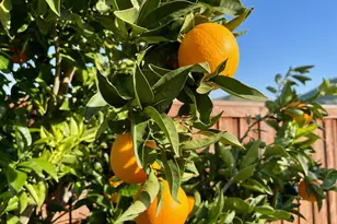 1844 Stockbridge Dr, Fairfield, CA 94534 - Photo 29