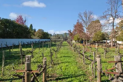 19346 Orange Avenue, Sonoma, CA 95476 - Photo 9