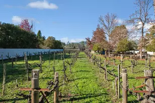 19346 Orange Ave, Sonoma, CA 95476 - Photo 9