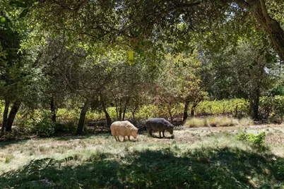 2557 Trinity Road, Glen Ellen, CA 95442 - Photo 45