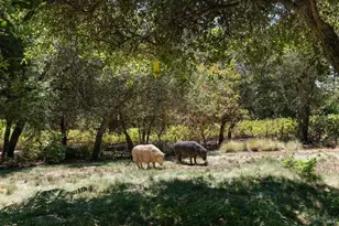 2557 Trinity Rd, Glen Ellen, CA 95442 - Photo 45