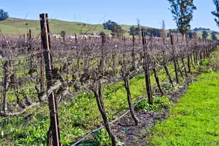 3957 Lakeville Hwy, Petaluma, CA 94954 - Photo 37