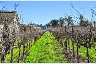 3957 Lakeville Highway, Petaluma, CA 94954 - Photo 39