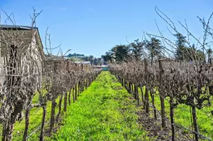 3957 Lakeville Hwy, Petaluma, CA 94954 - Photo 39