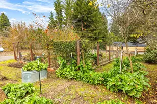 808 Grandview Rd, Sebastopol, CA 95472 - Photo 15