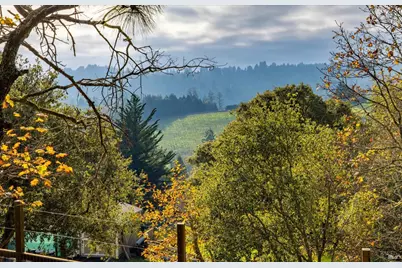 808 Grandview Road, Sebastopol, CA 95472 - Photo 3