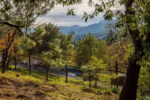 808 Grandview Rd, Sebastopol, CA 95472 - Photo 5