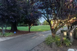 436 Laguna Vista Rd, Santa Rosa, CA 95401 - Photo 7