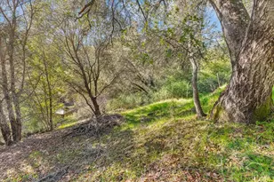 10650 Woodside Dr, Forestville, CA 95436 - Photo 23