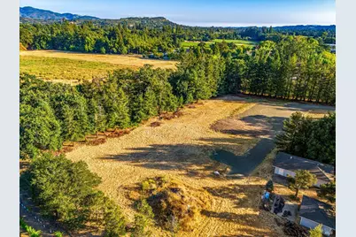 1777 McKinley Road, Napa, CA 94558 - Photo 7