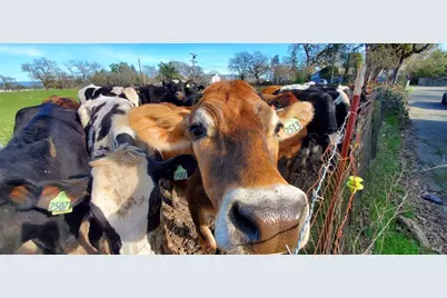 1979 Ludwig Avenue, Santa Rosa, CA 95407 - Photo 49