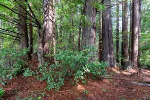 41600 Comptche Ukiah Rd, Mendocino, CA 95460 - Photo 21