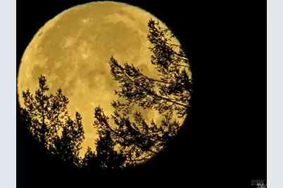 8911 Oakmont Drive, Santa Rosa, CA 95409 - Photo 53