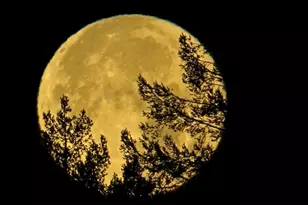 8911 Oakmont Dr, Santa Rosa, CA 95409 - Photo 53