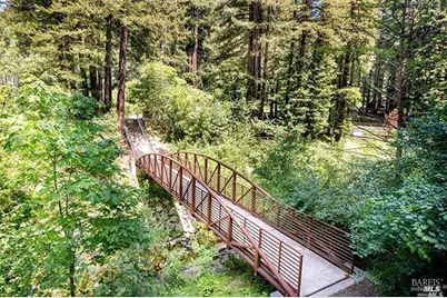 81 1st Street, Camp Meeker, CA 95419 - Photo 23