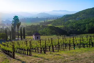 2893 St Helena Hwy, Saint Helena, CA 94574 - Photo 3