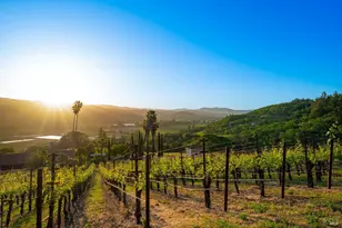 2893 St Helena Hwy, Saint Helena, CA 94574 - Photo 17