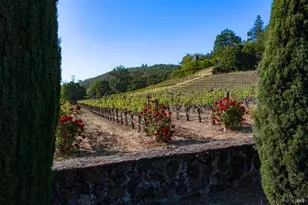 2893 St Helena Hwy, Saint Helena, CA 94574 - Photo 7