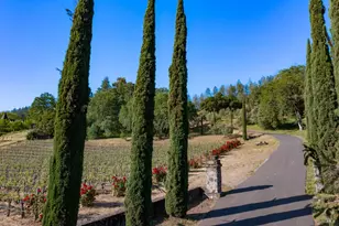 2893 St Helena Hwy, Saint Helena, CA 94574 - Photo 9