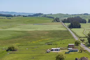 530 Tomales Rd, Petaluma, CA 94952 - Photo 9