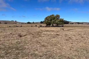 530 Tomales Rd, Petaluma, CA 94952 - Photo 29