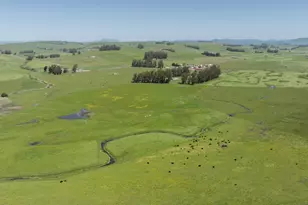 530 Tomales Rd, Petaluma, CA 94952 - Photo 13