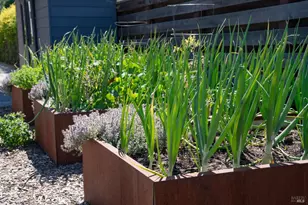 991 Grove St, Healdsburg, CA 95448 - Photo 31