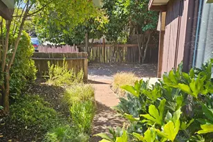 523 Center St, Healdsburg, CA 95448 - Photo 9