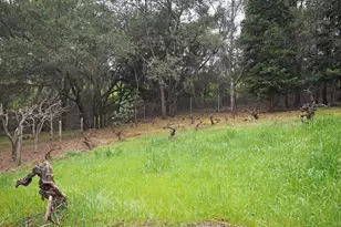 21679 Geyserville Ave, Geyserville, CA 95441 - Photo 39