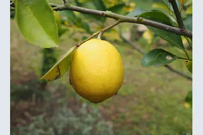 21679 Geyserville Avenue, Geyserville, CA 95441 - Photo 45