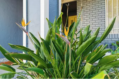 200 Evelyn Circle, Vallejo, CA 94589 - Photo 3