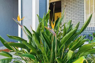 200 Evelyn Cir, Vallejo, CA 94589 - Photo 3