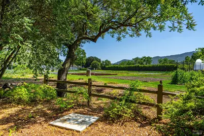 1251 Garden Avenue, Saint Helena, CA 94574 - Photo 73