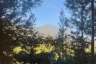 300 Hazel Ave, Mill Valley, CA 94941 - Photo 47