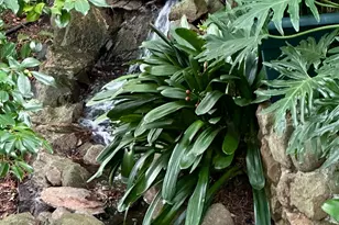 300 Hazel Ave, Mill Valley, CA 94941 - Photo 43