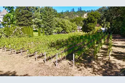 109 Glass Mountain Lane, Saint Helena, CA 94574 - Photo 65