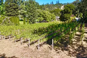 109 Glass Mountain Ln, Saint Helena, CA 94574 - Photo 65