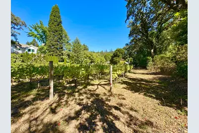 109 Glass Mountain Lane, Saint Helena, CA 94574 - Photo 53