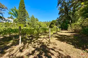 109 Glass Mountain Ln, Saint Helena, CA 94574 - Photo 53