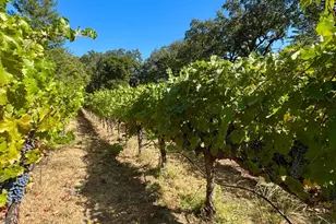 109 Glass Mountain Ln, Saint Helena, CA 94574 - Photo 51