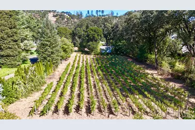 109 Glass Mountain Lane, Saint Helena, CA 94574 - Photo 71