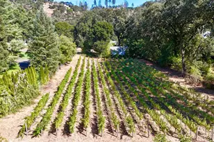 109 Glass Mountain Ln, Saint Helena, CA 94574 - Photo 71