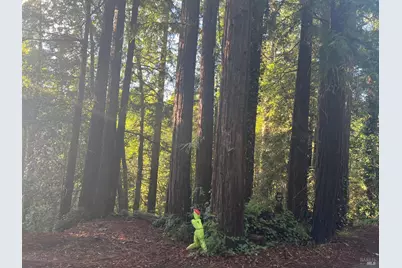 21866 Monte Vista Terrace, Monte Rio, CA 95462 - Photo 11