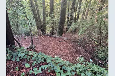 21866 Monte Vista Terrace, Monte Rio, CA 95462 - Photo 9