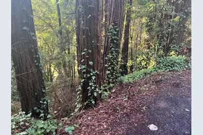 21866 Monte Vista Terrace, Monte Rio, CA 95462 - Photo 7