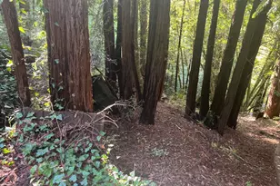 21866 Monte Vista Ter, Monte Rio, CA 95462 - Photo 1